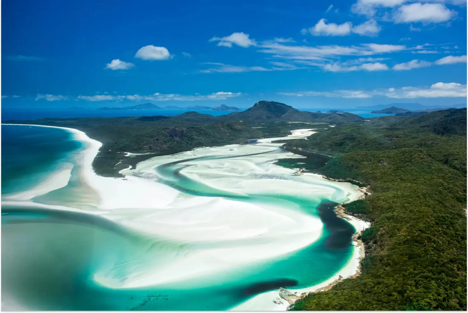 Australia White sunday