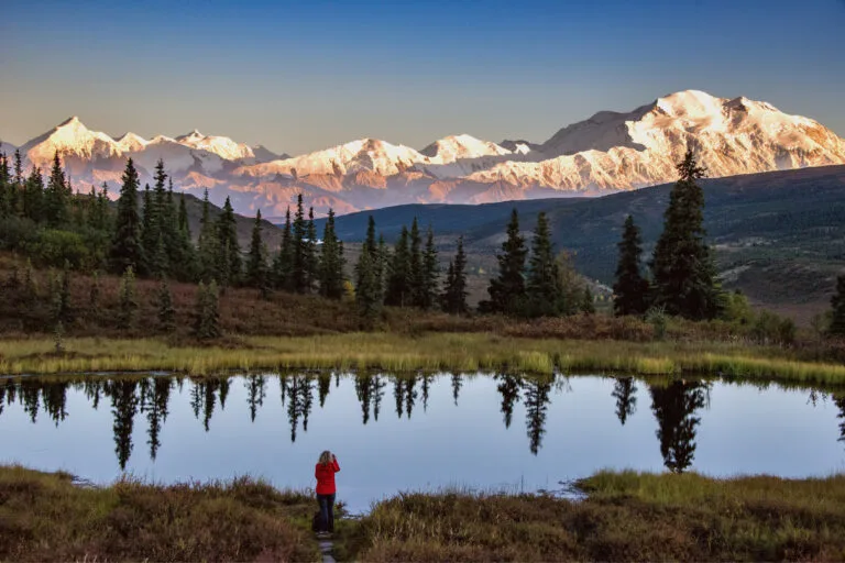 denali National Park