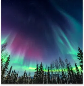 alaska Cruise