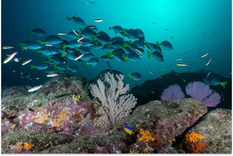 Underwater