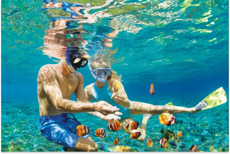 Scuba Diving