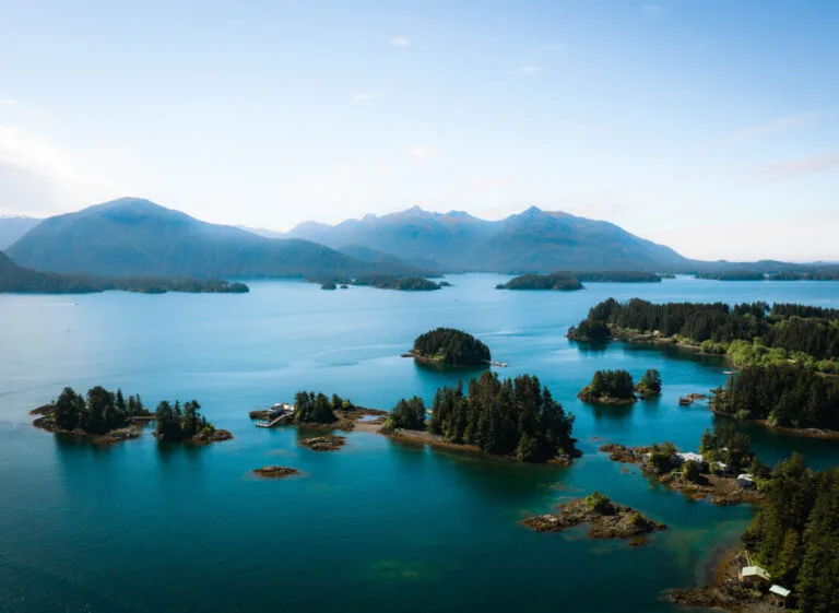 Sitka Drone