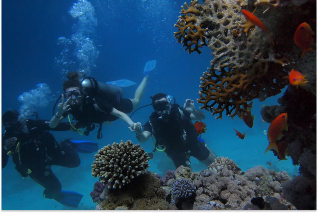 Snorkeling
