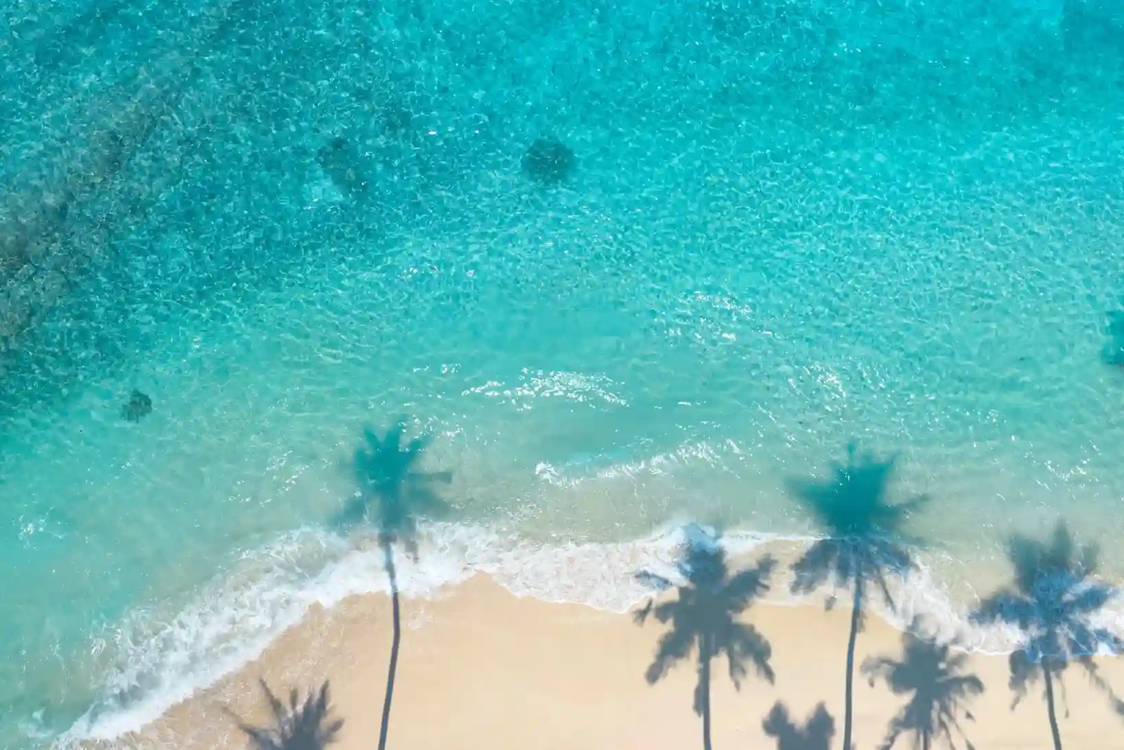 Caribbean sea