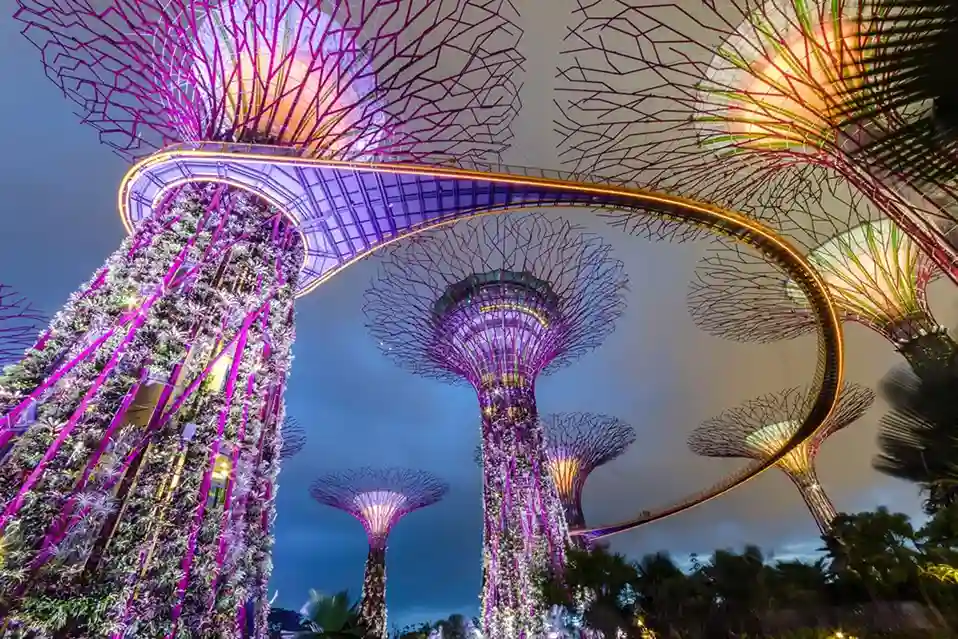 Supertree Grove, Singapore