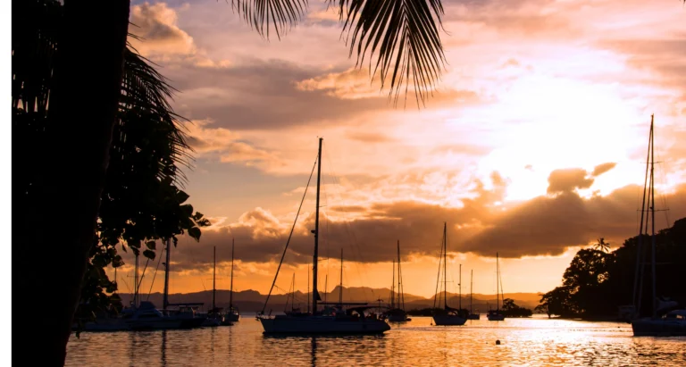 Sunset over a marina with sailboats and palm trees in Fiji