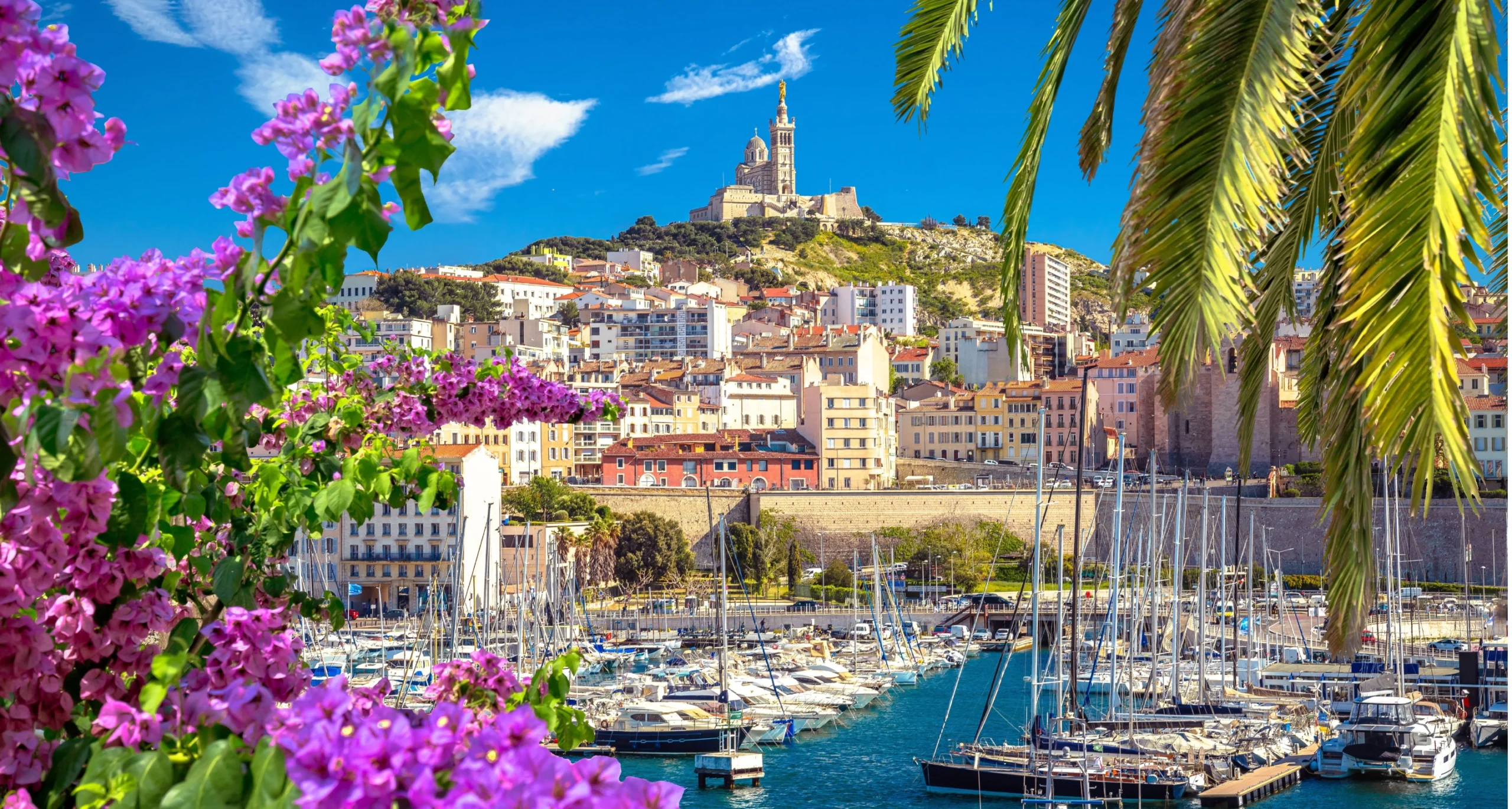 A view of a Mediterranean harbor filled with boats, featuring a hilltop cathedral in the background and bright pink bougainvillea in the foreground.