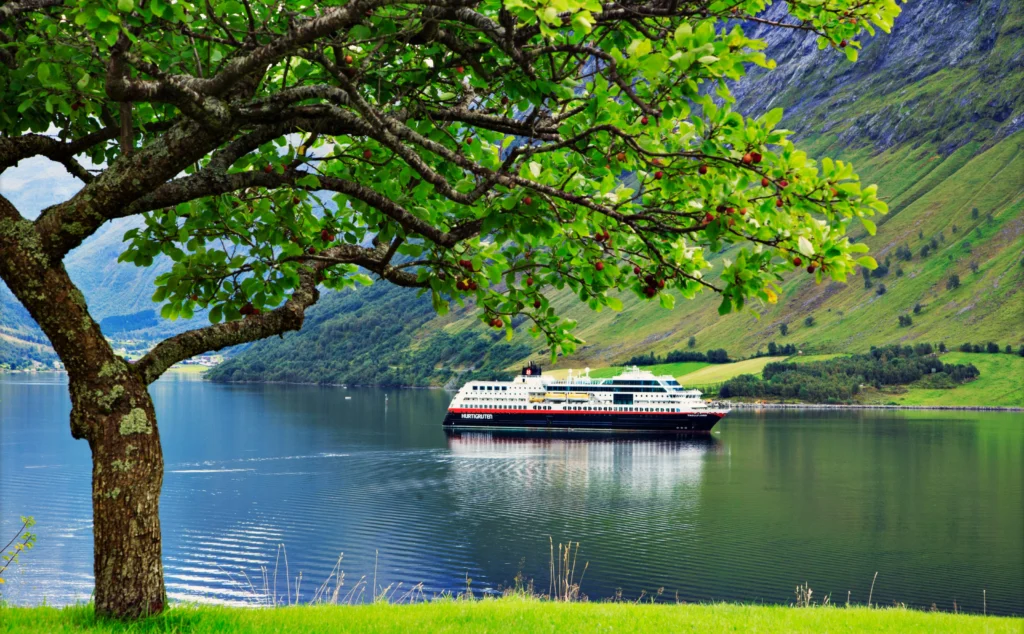 A Hurtigruten ship docked near a lush green hillside in a sunny fjord.