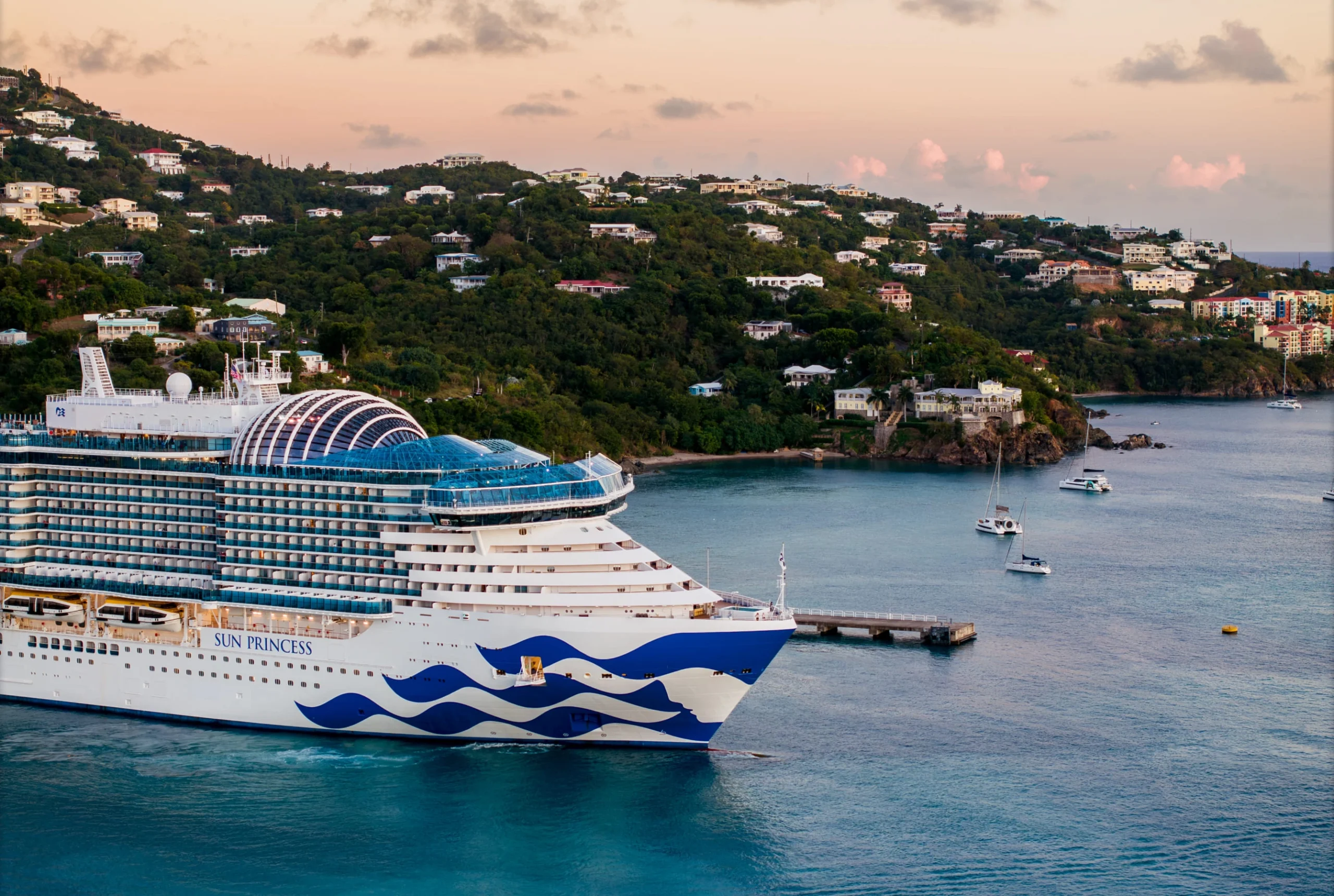 An aerial view of a Princess Cruises ship sailing near a lush tropical coastline.