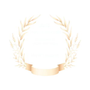 2016 - Travel Award