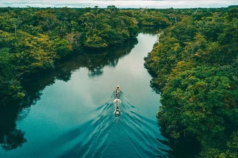 Amazon River cruise through dense rainforest and untouched tropical wilderness