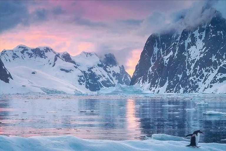 Antarctica expedition cruise with icebergs, glaciers and polar wilderness