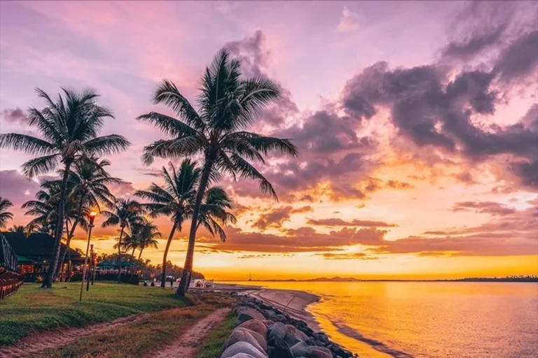 Hawaii cruise destination featuring tropical beach, palm trees and stunning Pacific sunset