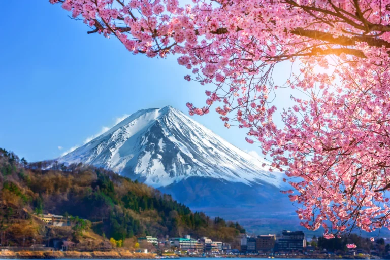 Japan cruise destination featuring Mount Fuji with cherry blossoms and scenic landscapes