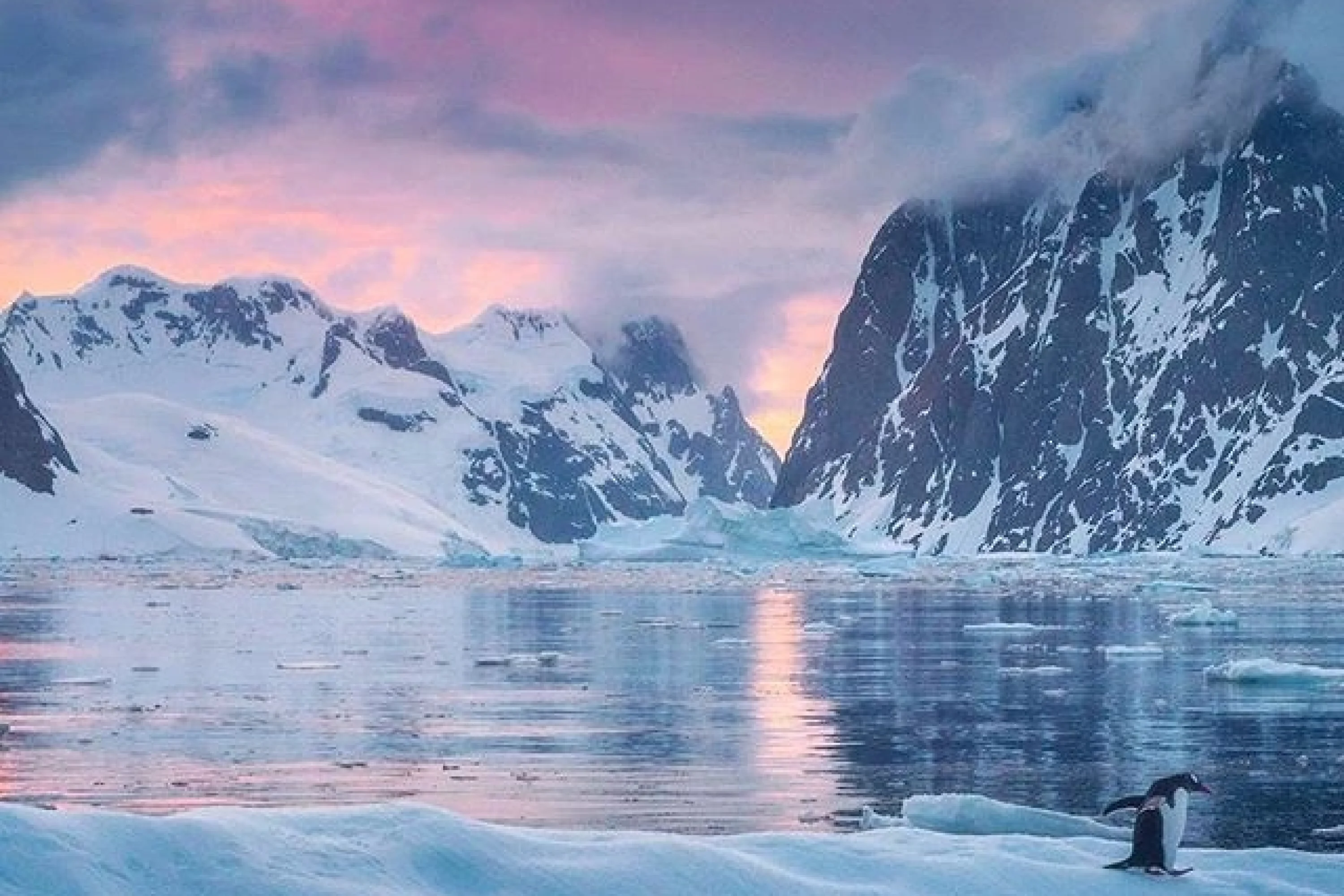 Antarctica