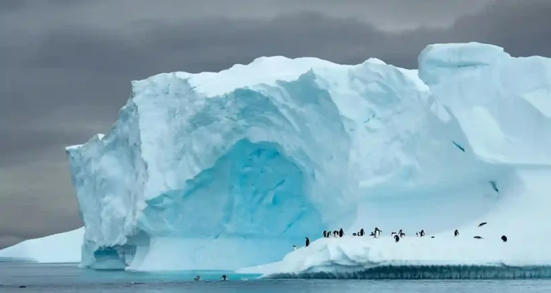 Antartica Ice