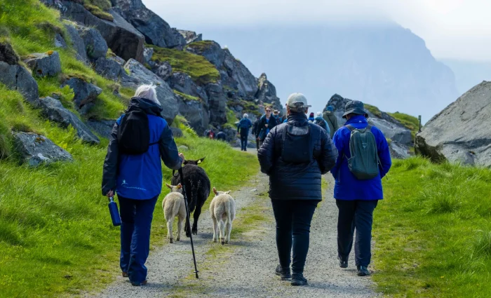 A small group of hikers walking along a green coastal path.